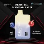 Nerd Fire 10000 Puffs Disposable Vape BLUEBERRY POMEGRANATE