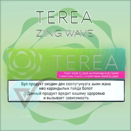 Terea-Zing-Wave-Kyrgyzstan