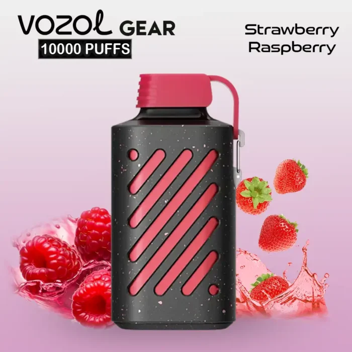 VOZOL GEAR 10000 Puffs Disposable Vape Strawberry Raspberry